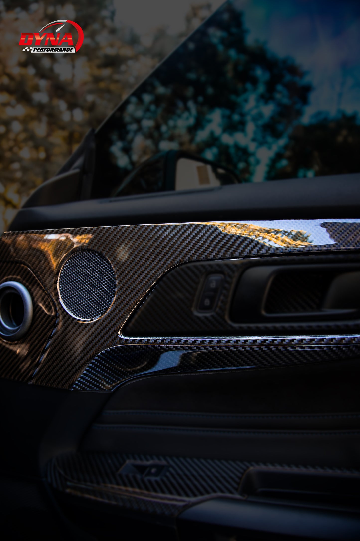 DynaCarbon™ Carbon Door Handle Panel trim kit for Ford Mustang 2024