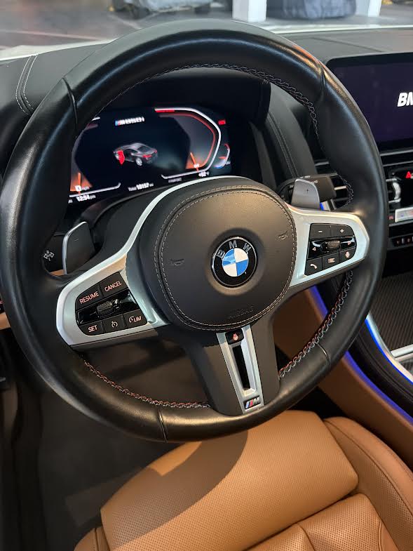 BRYAN RIVERA Custom SW - 2024 BMW M850
