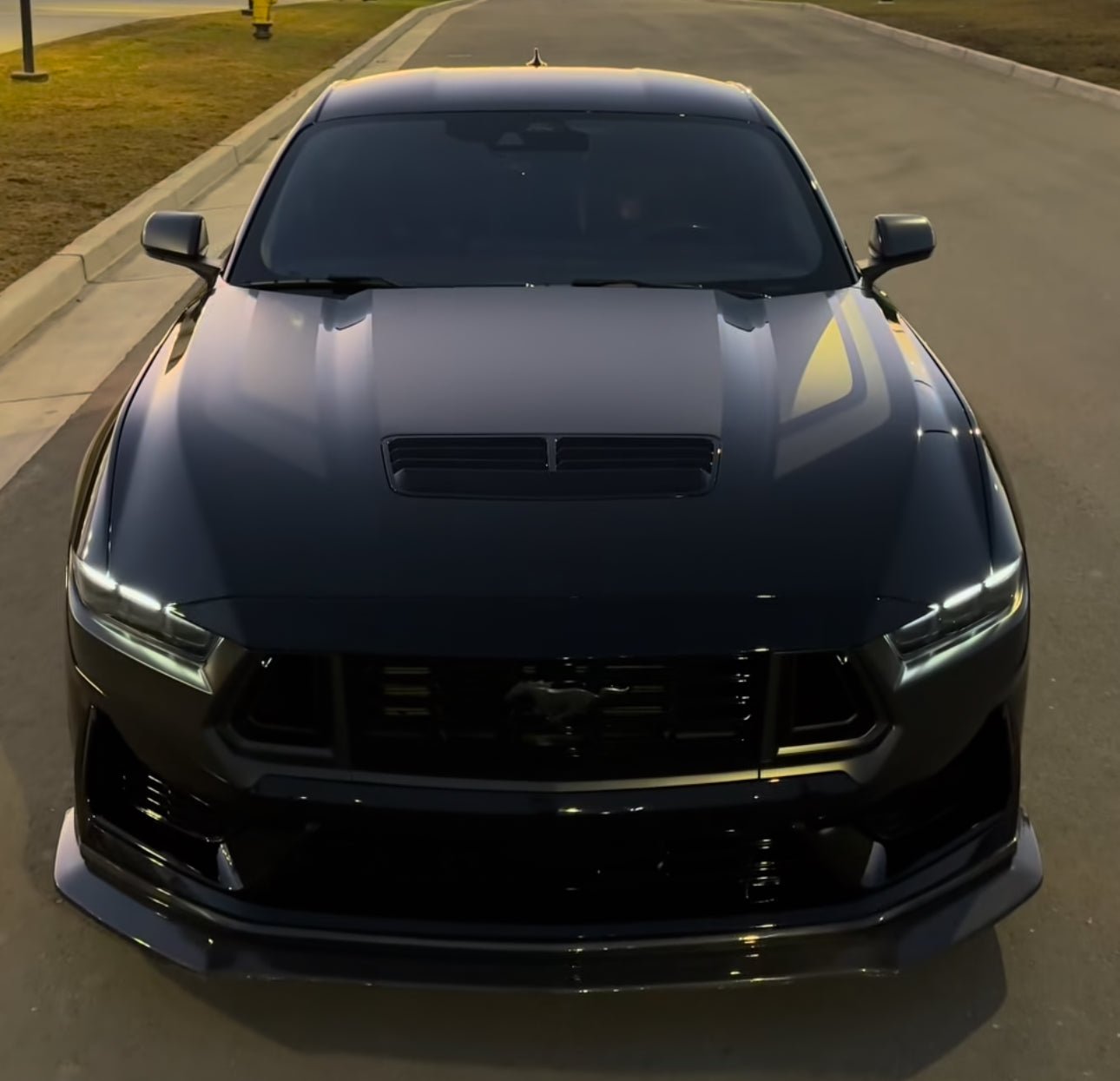 DynaCarbon™️ Carbon Front Lip for Ford Mustang Dark Horse 2024-2026