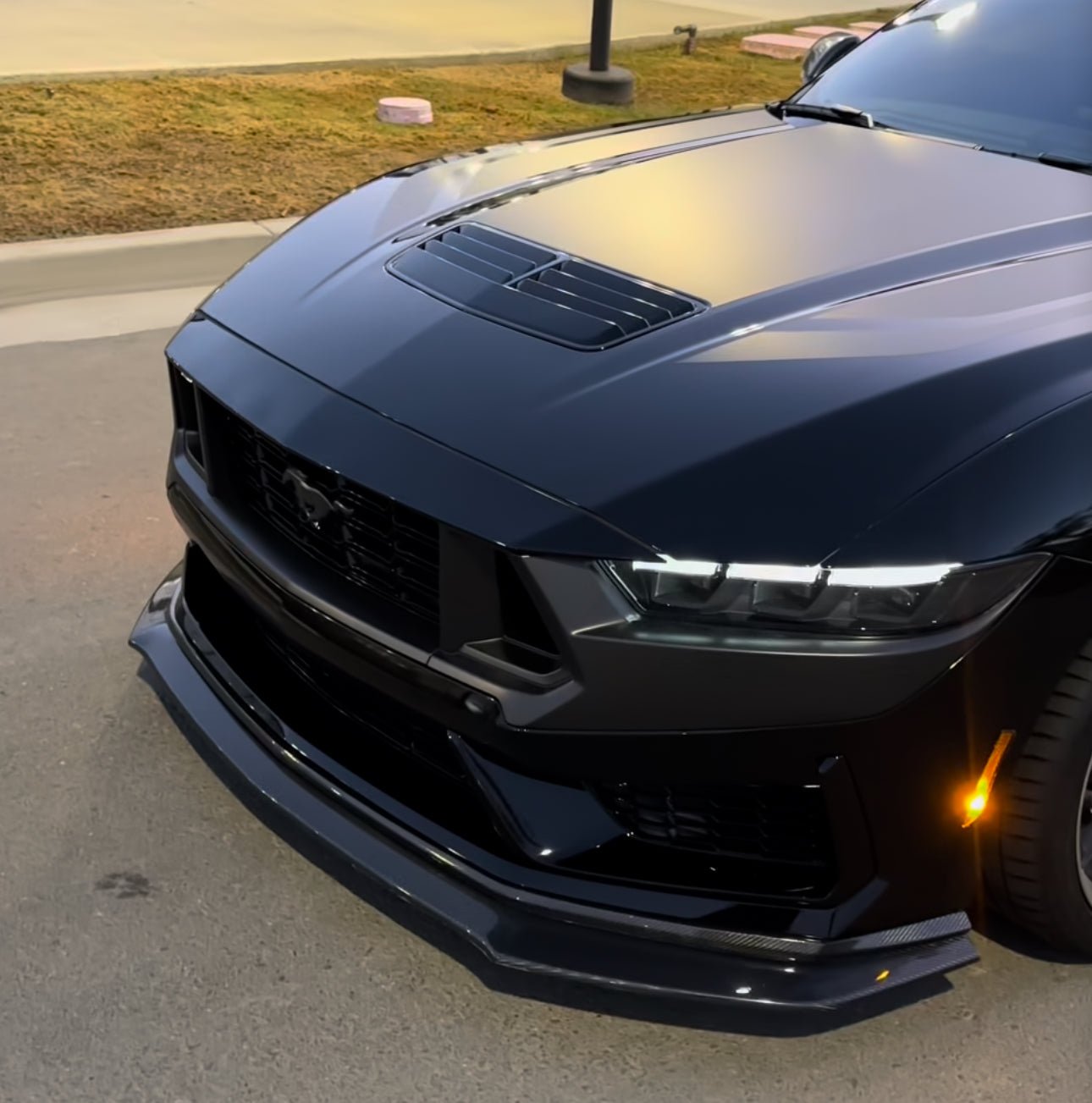 DynaCarbon™️ Carbon Front Lip for Ford Mustang Dark Horse 2024-2026