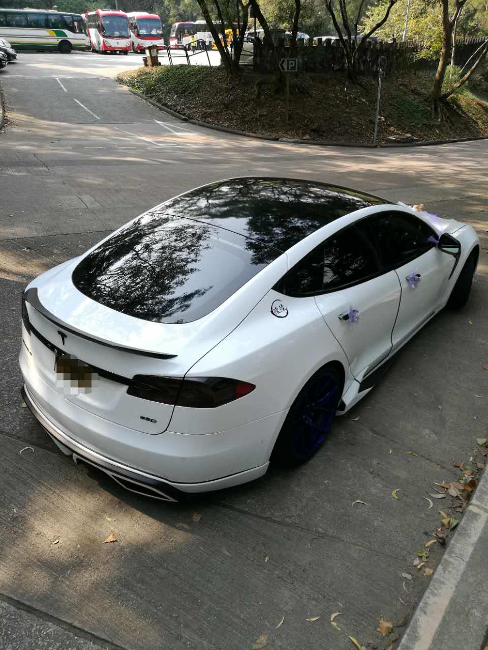 DynaCarbon™️ Carbon Bumper Kit for Tesla Model S 85 P85 2012-2016